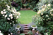 VIEW ONTO BEAUTIFULLY MANICURED TOWN GARDEN WITH LAWN STEPS AND ROSES PENELOPE AND BUFF BEAUTY.  DESIGNED BY HILARY MCPHERSON