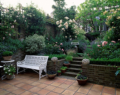 VIEW_ONTO_TOWN_GARDEN_WITH_STEPS__A_WHITE_SEAT_AND_ROSES_BUFF_BEAUTY_AND_PENELOPE_AT_THE_BACK_IS_CAT