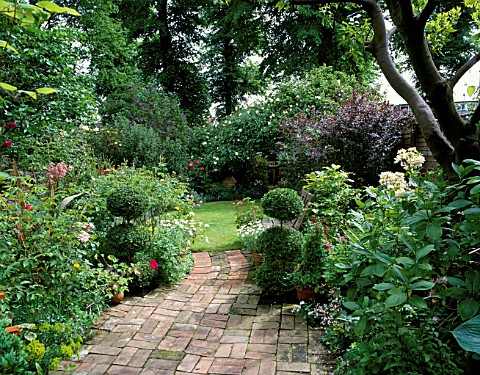 CONTAINERS_OF_CLIPPED_BOX_BALLS_FLANK_BRICK_PATHWAY_LEADING_TO_LAWN_IN_LISETTE_PLEASANCES_GARDEN