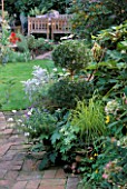 BRICK PATH LEADS TO SMALL CIRCULAR LAWN. BOX TOPIARY  WITH PATH AND WOODEN SEAT IN THE BACKGROUND. LISETTE PLEASANCES GARDEN