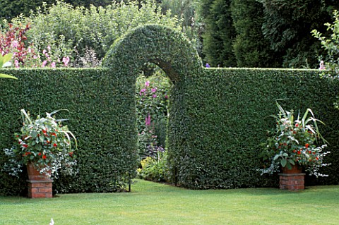 ARCHWAY_IN_LIGUSTRUM_HEDGE_THROUGH_TO_SUMMER_BORDER__FLANKED_BY_MATCHING_CONTAINERS_ON_BRICK_PLINTHS