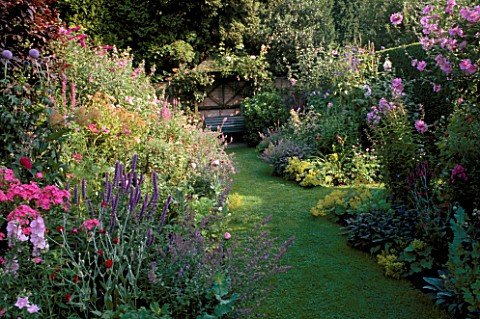 GRASS_PATH_THROUGH_PINKPURPLE_THEMED_SUMMER_BORDER_LEADS_TO_SECLUDED_SEAT_IN_SHADY_SPOT__SWINTON_LAN
