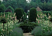 DIGITALIS  NICOTIANA AND LAVENDER SURROUND SUNDIAL AT CENTRE OF VISTA THROUGH AVENUE OF SHAPED YEWS.  CHENIES MANOR  BUCKINGHAMSHIRE