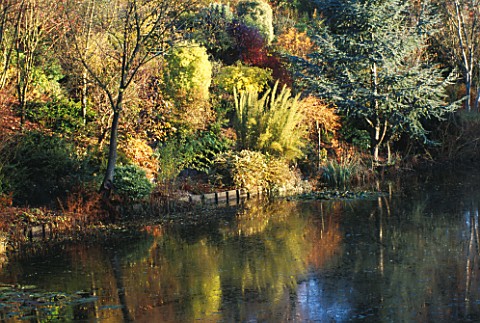 AUTUMNAL_COLOURS_BESIDE_THE_LAKE_AT_THE_DINGLE__WELSHPOOL_WALES