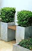 SIMPLE WOODEN SEAT BETWEEN TWO BOX SQUARES IN METAL CONTAINERS. CHARLES WORTHINGTONS MINIMALIST GARDEN. DESIGNER:STEPHEN WOODHAMS