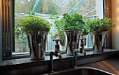 HERBS: GOLDEN MARJORAM  PARSLEY & VARIEGATED SAGE GROW  IN SHINY METAL CONTAINERS ON WINDOW SILL IN DESIGNER STEPHEN WOODHAMS KITCHEN.