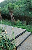 WATER MEADOW GARDEN DESIGNED BY MARK WALKER. TIMBER DECK AND MATURE POLLARDED WILLOWS. CHELSEA 98