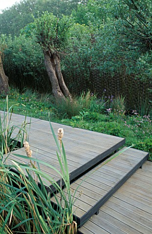 WATER_MEADOW_GARDEN_DESIGNED_BY_MARK_WALKER_TIMBER_DECK_AND_MATURE_POLLARDED_WILLOWS_CHELSEA_98