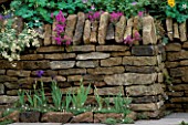 IRISES IN FRONT OF DRY STONE WALL. CHELSEA 1994. DESIGNER: JULIAN DOWLE