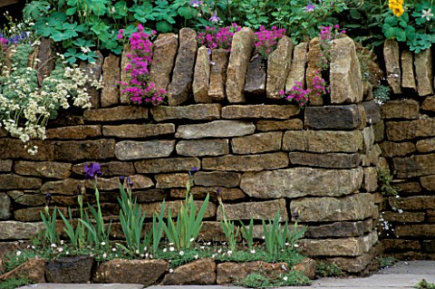 IRISES_IN_FRONT_OF_DRY_STONE_WALL_CHELSEA_1994_DESIGNER_JULIAN_DOWLE