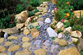 ORANGE POPPIES GROWING IN A DRY CREEK BED MADE WITH ROCKS AND PEBBLES. DESIGNER: KEEYLA MEADOWS  CALIFORNIA