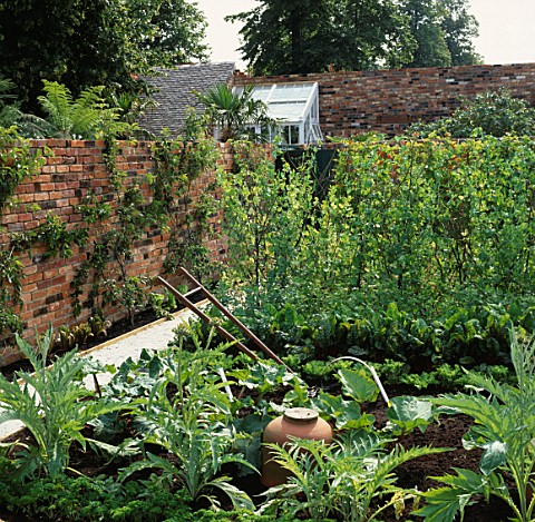 VEGETABLE_GARDENPOTAGER_CARDOONS__RHUBARB_FORCING_POT__PEA_GRADUS_AND_LEAN_TO_GREENHOUSE_SPIRIT_OF_H