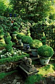 BOX GARDEN: CONTAINERS WITH BOX BALLS ON STEPS  TOPIARY SPIRAL SURROUNDED BY WHITE VERBENA  WITH ANTIQUE STONE LION IN FOREGROUND. DESIGNER: JONATHAN BAILLIE