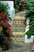 FUCHSIAS BESIDE STEPS WITH DECORATIVE TILES AND PEBBLES