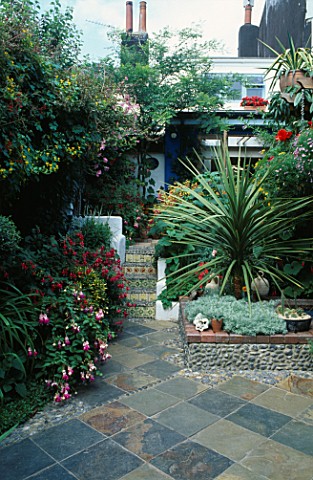 SMALL_TOWN_GARDEN_WITH_FUCHSIAS_AND_A_SPECIMEN_DRACAENA_FRAMING_STEPS_WITH_PEBBLED_TREADS_AND_TILED_
