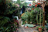 VIEW BACK TO THE HOUSE WITH FUCHSIAS AND A SPECIMEN DRACAENA FRAMING STEPS WITH PEBBLED TREADS AND TILED RISERS. WHITE MEDITERRANEAN WALLS. DESIGNERS ANDREW & KARLA NEWELL