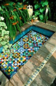 CROCOSMIA PLANTED BESIDE A RECTANGULAR GLASS MOSAIC POOL FILLED WITH CLEAR WATER AND DESIGNED BY KARLA NEWELL
