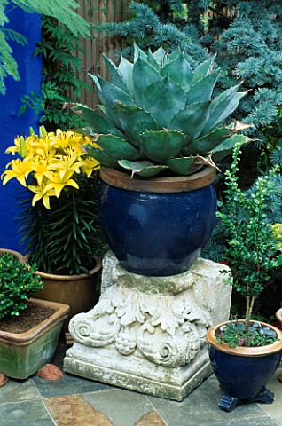 YELLOW_LILIES_BESIDE_AN_AGAVE_IN_A_BLUE_GLAZED_POT_DESIGNERS_ANDREW__KARLA_NEWELL