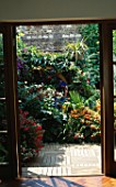 VIEW THROUGH THE BACK DOOR/FRENCH WINDOWS INTO COURTYARD GARDEN WITHWOODEN DECKING & TIMBER PERGOLA SURROUNDED BY FUCHSIAS  CROCOSMIA  JAPANESE ANEMONES.