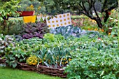 VEGETABLE GARDEN AT ROSENDAL  SWEDEN: RAISED WICKER BED WITH LEEKS AND OTHER VEGETABLES