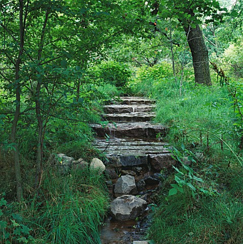 WATERFALL_IN_A_WOODLAND_GARDEN_DESIGNED_BY_JULIE_TOLL_AT_ROSENDAL_IN_STOCKHOLM__SWEDEN