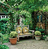SHADY SPOT WITH WOODEN SEAT UNDER ROSE ARCH  FLANKED BY POTS WITH VARIEGATED BOX. CLIMBING ROSE CECILE BRUNNER AND TROPAEOLUM EMPRESS OF INDIA. DESIGNER: ALEX JEFFERSON.