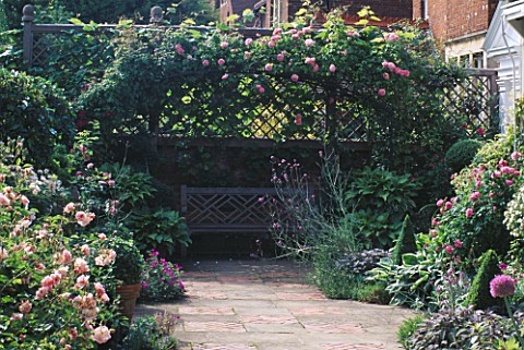 WOODEN_BENCH_UNDER_SHADY_ARBOUR_WITH_CLIMBING_ROSA_CONSTANCE_SPRY