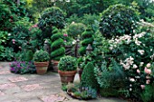 BOX TOPIARY SPIRALS AND BALLS ON A SOUTH FACING TERRACE.  RANI LALS GARDEN  OXON