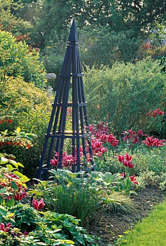 TULIP_MAY_TIME_WITH_BLUE_OBELISK_IN_THE_SUMMERHOUSE_GARDENARROW_COTTAGE__HEREFORDSHIRE