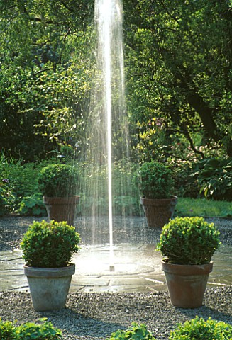 FOUNTAIN_SURROUNDED_BY_BUXUS_SEMPERVIRENS_IN_POTS_ARROW_COTTAGE__HEREFORDSHIRE