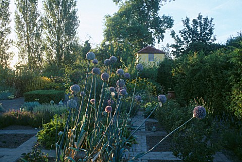 THE_TOWER_SEEN_FROM_THE_VEGETABLE_GARDEN_WITH_SEEDHEADS_OF_EDIBLE_LEEKS_IN_THE_FOREGROUND_ARROW_COTT