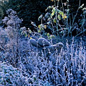FROSTED SCULPTURE BY HELEN SINCLAIR IN THE ROSE GARDEN. ARROW COTTAGE  HEREFORDSHIRE/NEW SHOOTS