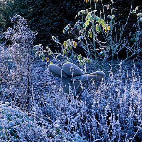 FROSTED_SCULPTURE_BY_HELEN_SINCLAIR_IN_THE_ROSE_GARDEN_ARROW_COTTAGE__HEREFORDSHIRENEW_SHOOTS
