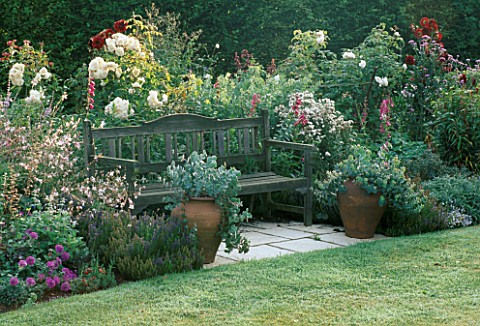 A_PLACE_TO_SIT_SECLUDED_WOODEN_SEAT_AT_MEADOW_HOUSE_SURROUNDED_BY__PERENNIAL_BORDER__ROSA_PROSPERITY