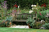 A PLACE TO SIT: WOODEN SEAT SURROUNDED BY  PERENNIAL BORDER  ROSA PROSPERITY & ROSA WINCHESTER CATHEDRAL. VERONICA PERFOLIATA IN POTS. MEADOW HOUSE. DESIGNER: HARRIET JONES