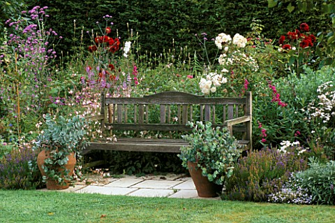 A_PLACE_TO_SIT_WOODEN_SEAT_SURROUNDED_BY__PERENNIAL_BORDER__ROSA_PROSPERITY__ROSA_WINCHESTER_CATHEDR