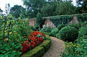 ANTIRHINUMS  CLIPPED BOX MOPHEADS AND RUNNER BEANS IN THE WALLED GARDEN AT WEST GREEN HOUSE  HAMPSHIRE