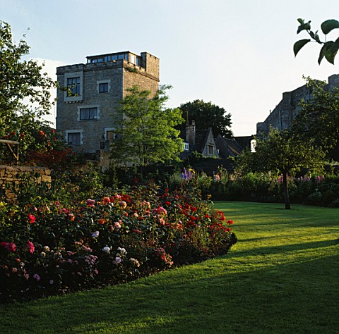 EVENING_SUNLIGHT_STRIKES_THE_SERPENTINE_ROSE_BED_WITH_THE_HERBACEOUS_BORDER_BEHIND_THE_ABBEY_HOUSE__