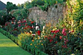 BOX EDGED BED BY OLD WALL WITH ROSES AND CALIFORNIA POPPIES (ESCHSCHOLZIA CALIFORNICA)  IN A BORDER AT THE ABBEY HOUSE  WILTSHIRE