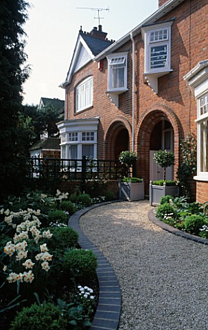THE_FRONT_GARDEN_AT_ALBERT_ROAD_WITH_CREAMY_GRAVEL_AND_WHITE_PLANTING_OF_NARCISSUS_GERANIUM_WITH_BOX
