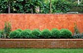 RAISED BED WITH BOX BALLS BACKED BY ITALIAN POLISHED PLASTER WALL AND PLEACHED LIMES. MODERNISTS TOWN GARDEN.