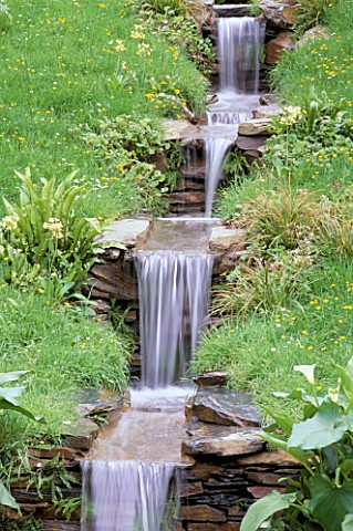WATER_FEATURE_WATER_CASCADES_THROUGH_MEADOW_WITH_PRIMULA_PULVERULENTA_AND_CAREX_MORROWII__IN_THE_WYE