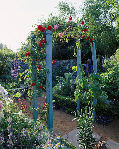 BLUE_TIMBER_AND_METAL_ARCHWAY_WITH_ROSA_SCARLET_AND_ROSA_FRANCOIS_JURANVILLE__BEHIND_IS_A_BOX_EDGED_