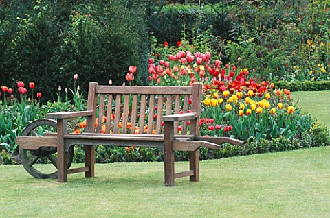 A_PLACE_TO_SIT_WHEELBARROW_SEAT_IN_FRONT_OF_ROSE_BED_UNDERPLANTED_WITH_TULIPA_WILLIAM_OF_ORANGE__STR