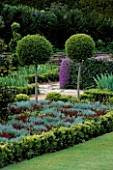 TOPIARY IN THE CELTIC CROSS KNOT GARDEN WITH TEUCRIUM  SANTOLINA  BERBERIS THUNBERGII ATROPURPUREA NANA AND BUXUS SEMPERVIRENS. THE ABBEY HOUSE  WILTSHIRE.