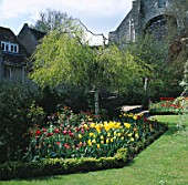 VIEW TOWARDS THE ABBEY CHURCH WITH TULIP & ROSE BORDER AND BETULA PENDULA YOUNGII . THE ABBEY HOUSE  WILTSHIRE.