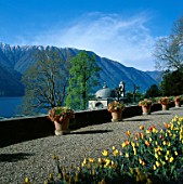 TULIP GEORGETTE IN THE FOREGROUND WITH LAKE COMO AND MOUNTAINS BEHIND. THE VILLA CARLOTTA  LAKE COMO  ITALY