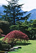 VIEW ACROSS THE GARDEN AT THE VILLA BAGATTI VALSECCHI  LAKE COMO  ITALY  WITH A JAPANESE MAPLE AND SNOW CAPPED MOUNTAINS