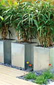 GALVANISED METAL CONTAINER PLANTED WITH PSEUDOSASA JAPONICA IN MODERN GARDEN DESIGNED BY WYNNIATT-HUSEY CLARKE