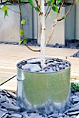 GALVANISED METAL CONTAINER PLANTED WITH BETULA UTILIS AND BLACK SLATE IN MODERN GARDEN DESIGNED BY WYNNIATT-HUSEY CLARKE